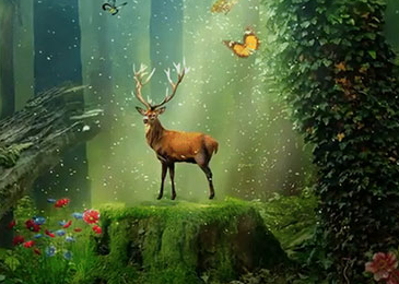 Photoshop 2024 v25.0.0.37 PS安装包下载